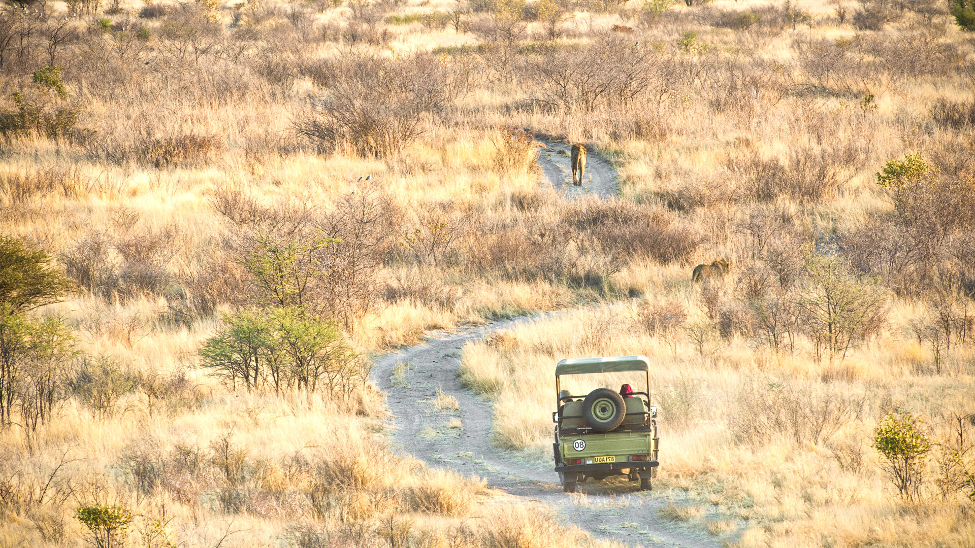 Travel to Central Kalahari