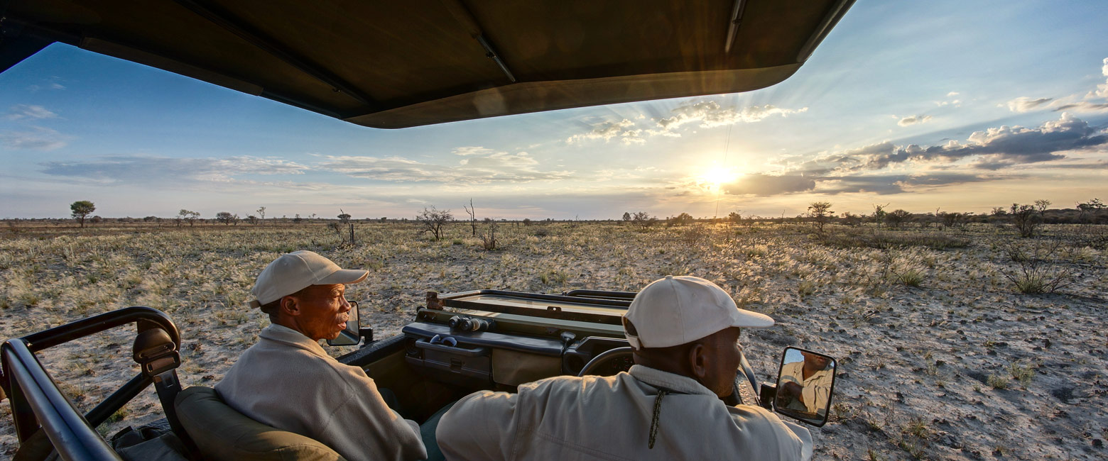 let us know your thoughts about Botswana and we will help you create the perfect safari