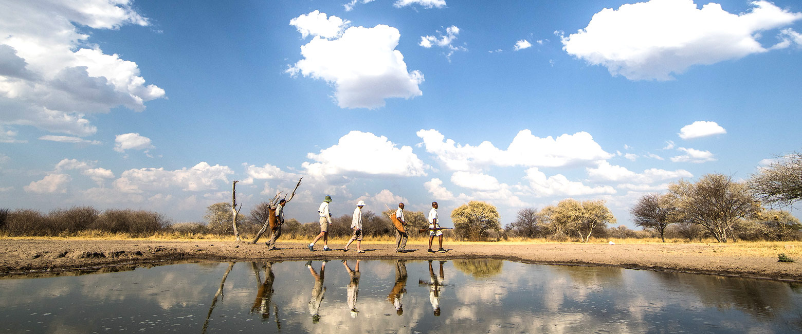 let us know your thoughts about Botswana and we will help you create the perfect safari