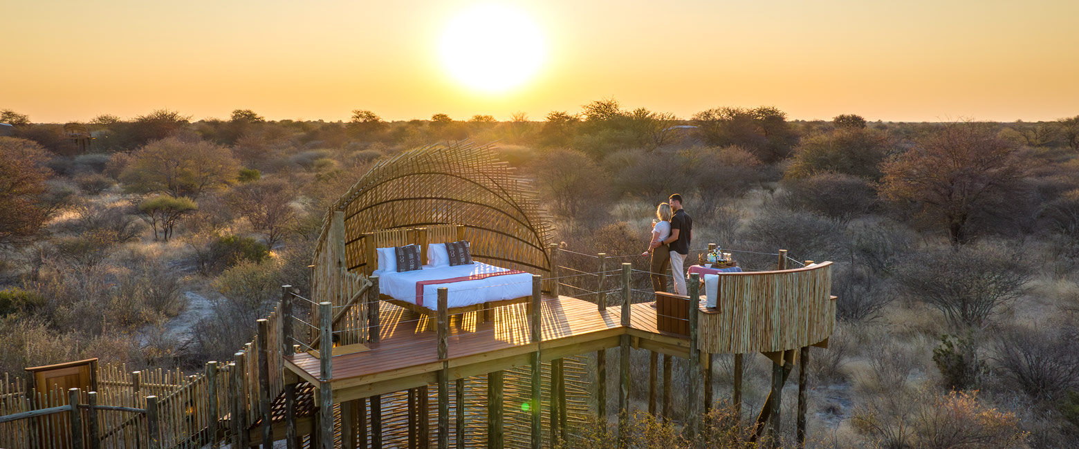 let us know your thoughts about Botswana and we will help you create the perfect safari 