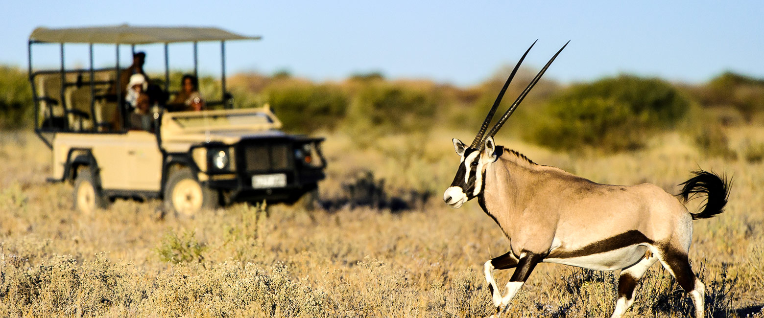 let us know your thoughts about Botswana and we will make sure to deliver the perfect safari