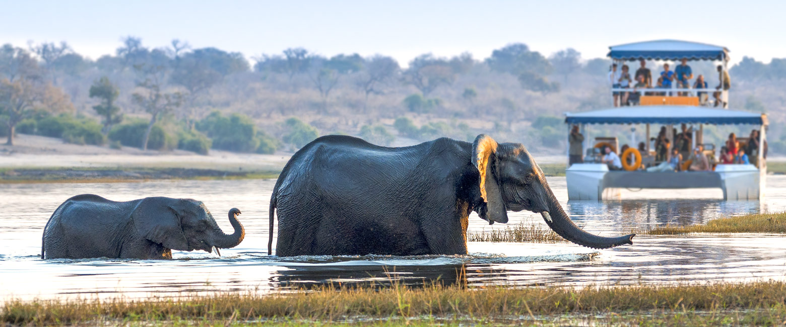 is a famous safari area that suffers from heavy visitor traffic