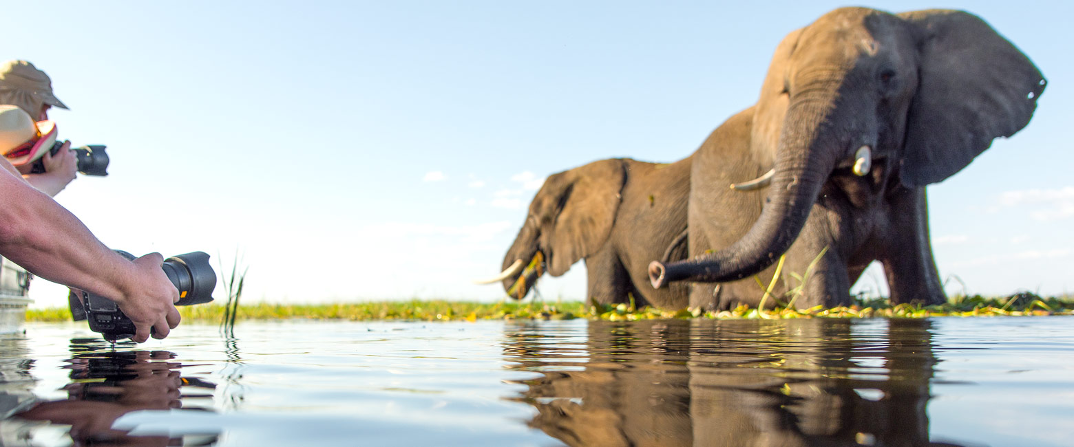 let us know your thoughts about Botswana and we will help you create the perfect safari