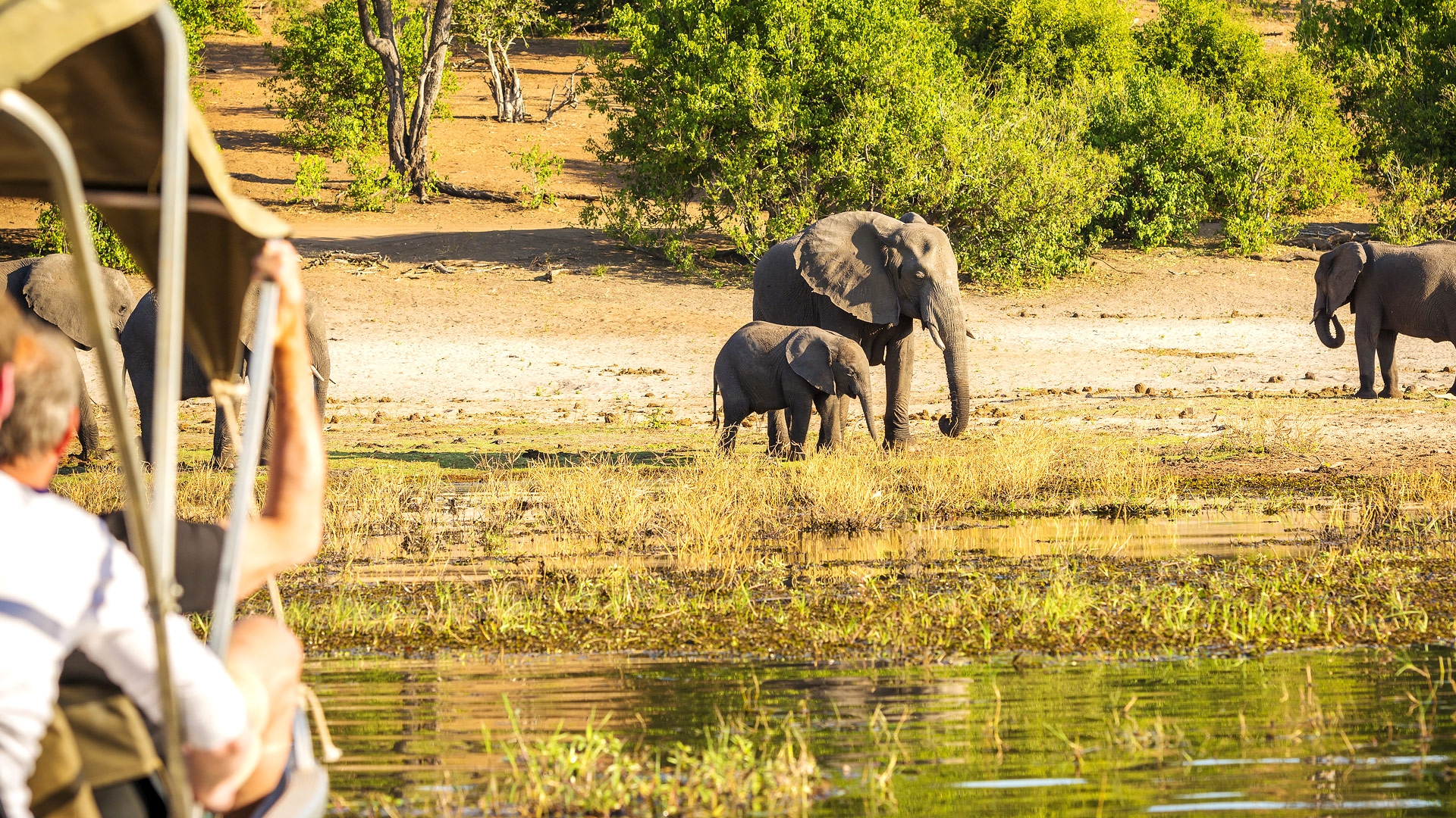 Safari in Chobe Nogatsaa