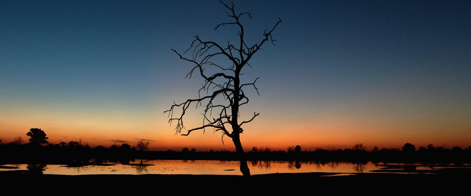 is a little-visited area in the remote west of Chobe