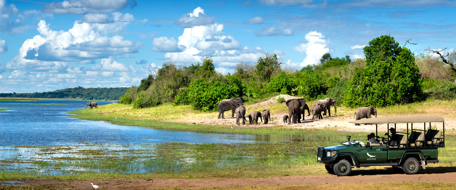 offers prodigious dry season wildlife but suffers very high visitor traffic