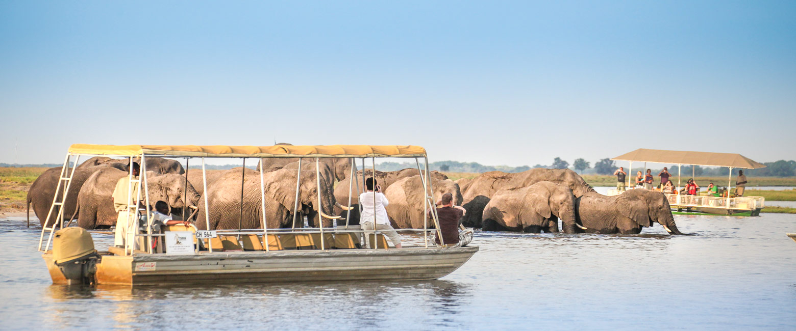 let us know your thoughts about Botswana and we will help you create the perfect safari