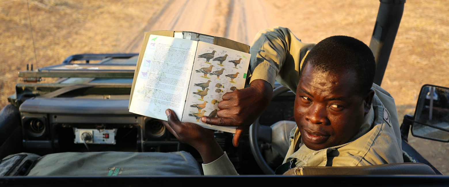 let us know your thoughts about Botswana and we will help you create the perfect safari