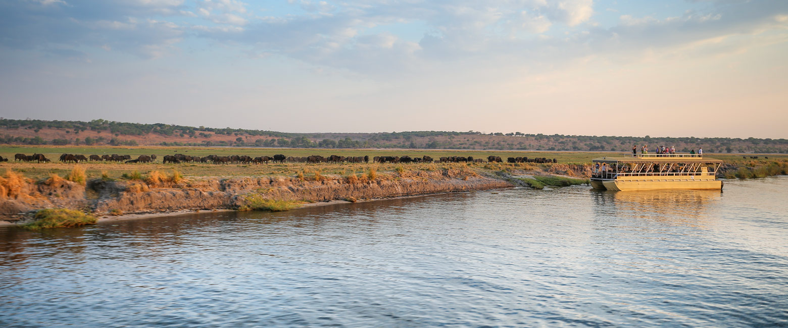 let us know your thoughts about Botswana and we will help you create the perfect safari