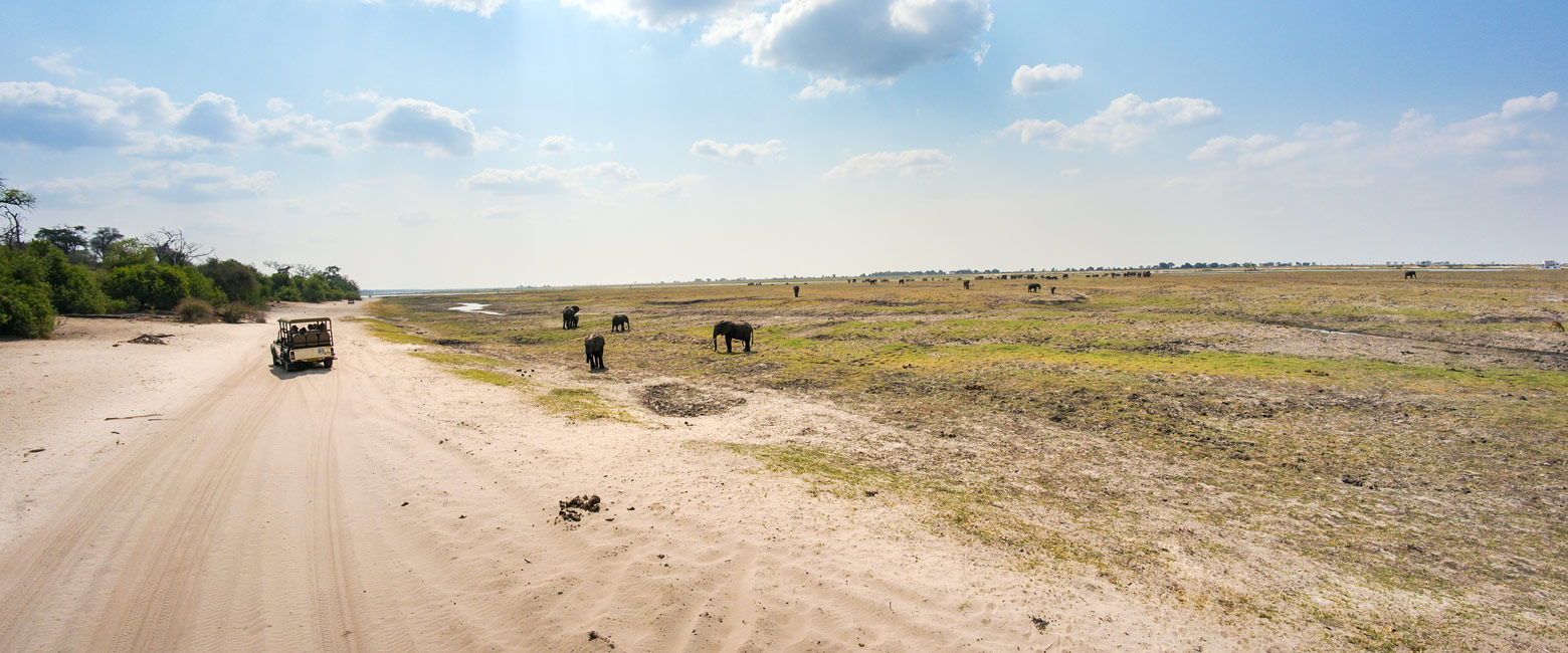let us know your thoughts about Botswana and we will help you create the perfect safari