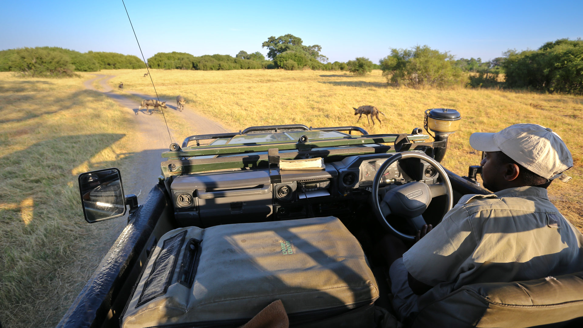 Travel to Chobe Savuti Marshes
