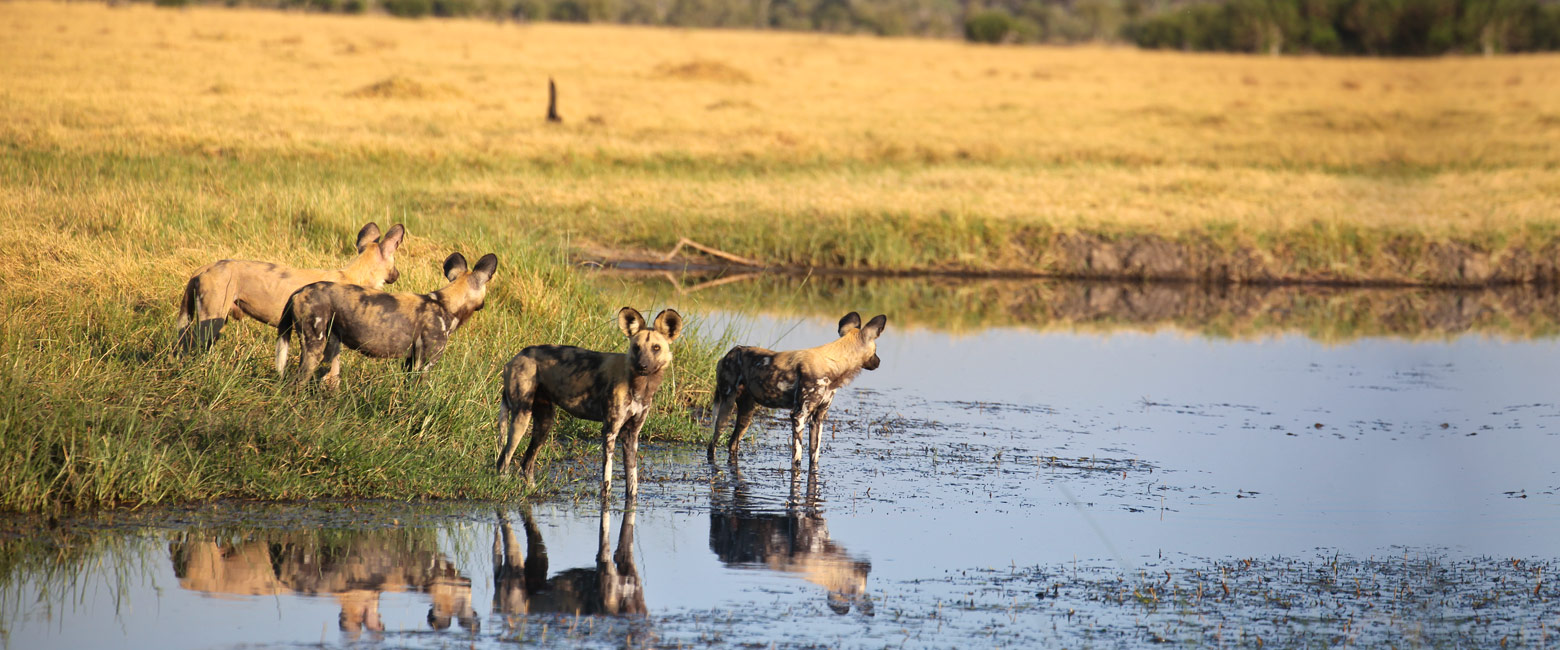 has very rich wildlife but heavy vehicle traffic 