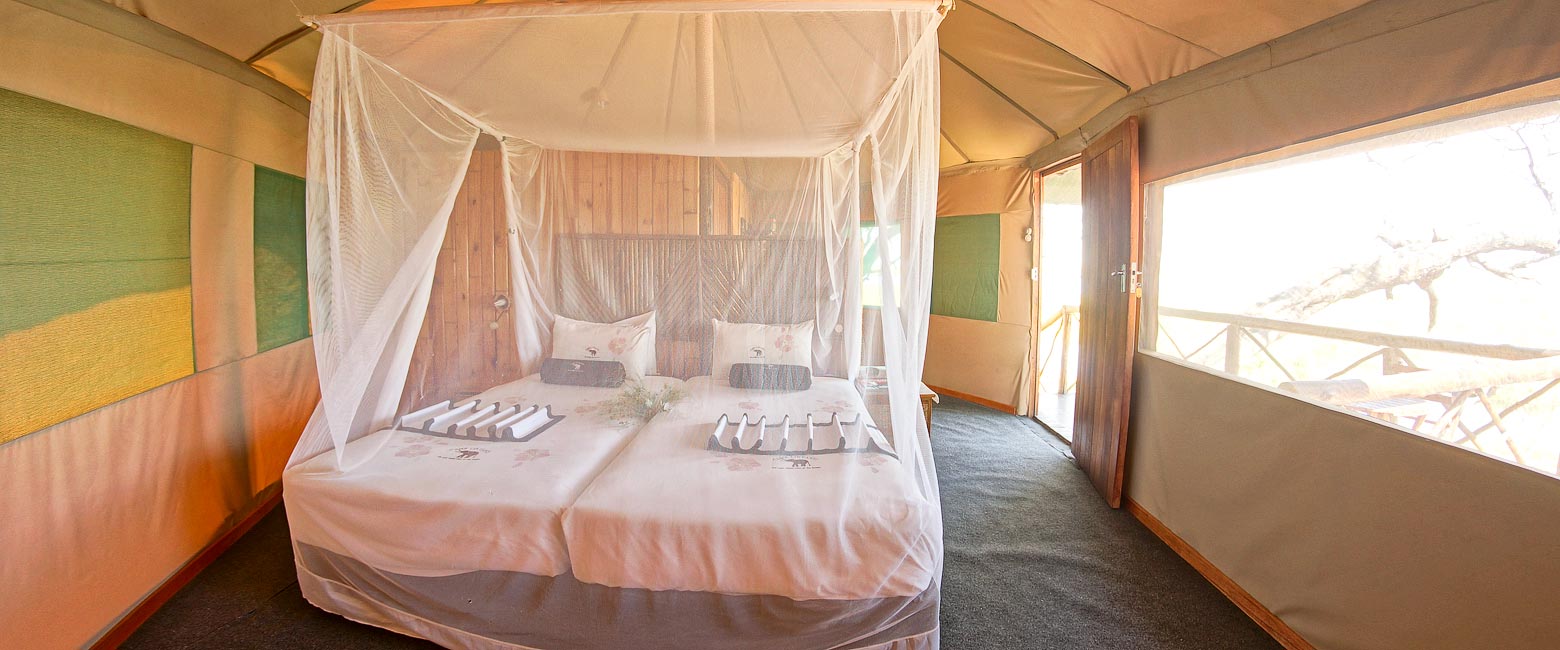 let us know your thoughts about Botswana and we will make sure to deliver the perfect safari 