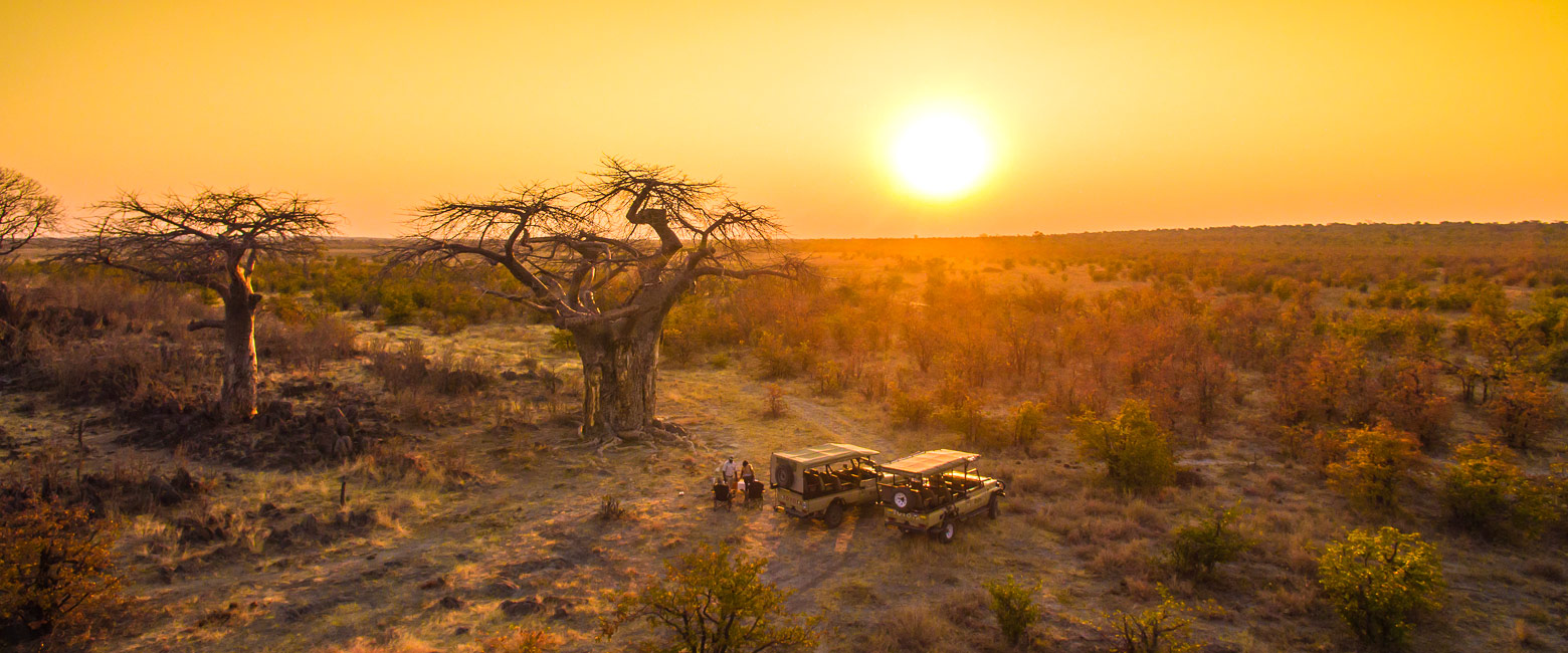 let us know your thoughts about Botswana and we will help you create the perfect safari