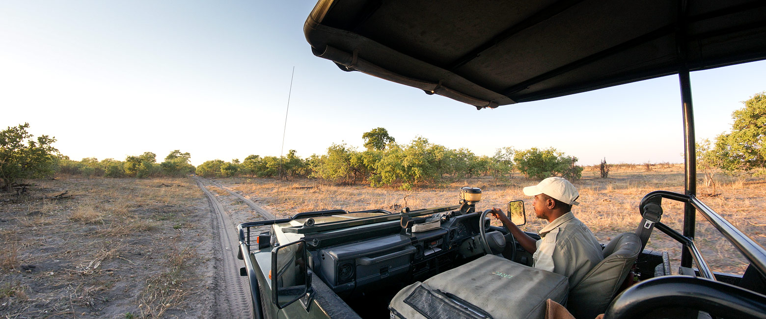 let us know your thoughts about Botswana and we will help you create the perfect safari