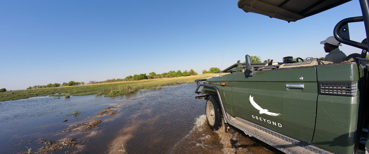 let us know your thoughts about Botswana and we will help you create the perfect safari 
