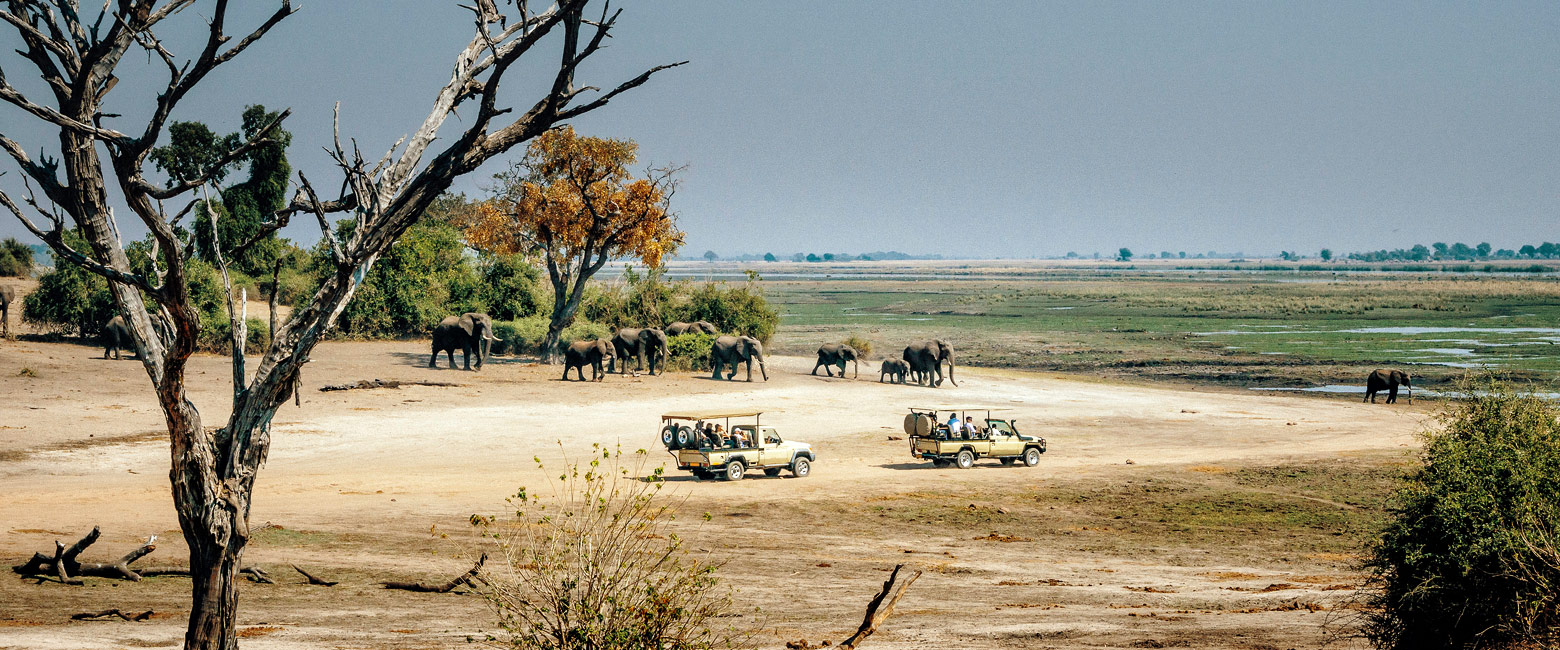 is a small border town adjacent to Chobe 