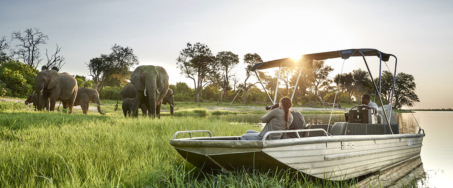 let us know your thoughts about Botswana and we will help you create the perfect safari 