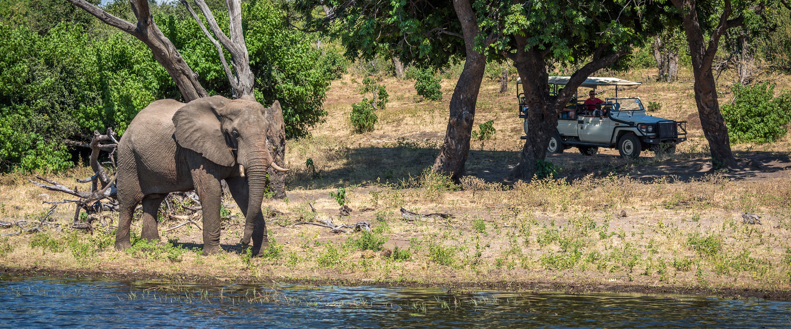 let us know your thoughts about Botswana and we will make sure to deliver the perfect safari
