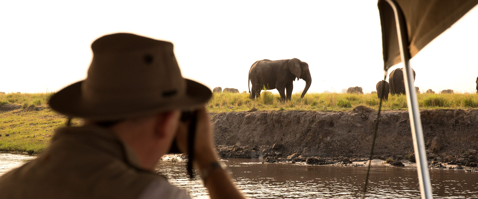 let us know your thoughts about Botswana and we will make sure to deliver the perfect safari 