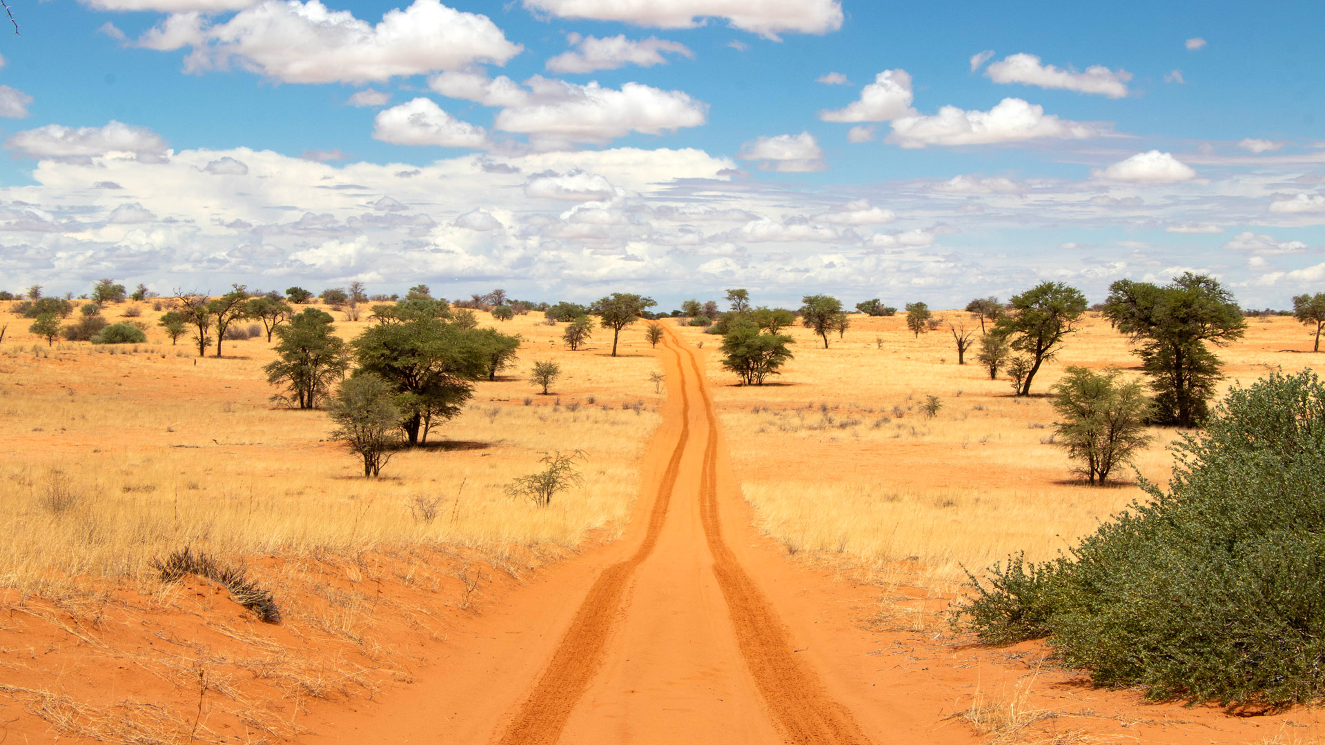 Travel to Kgalagadi