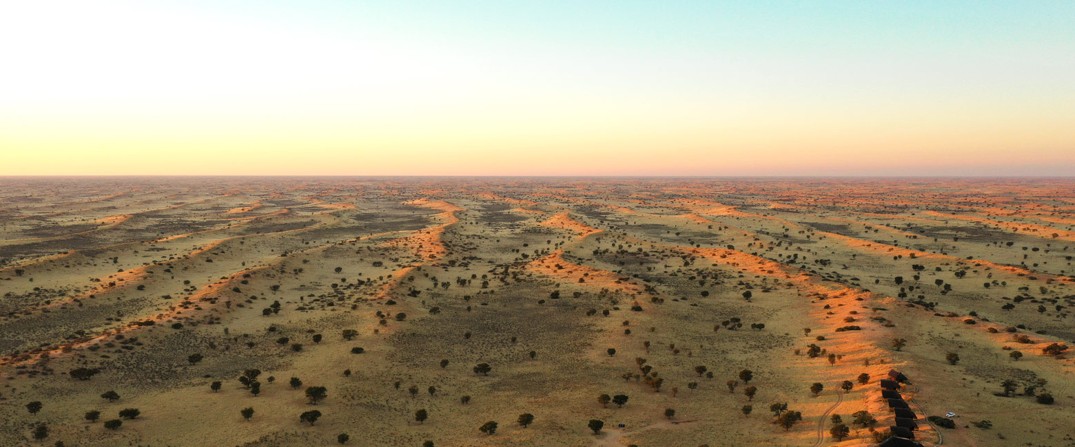 let us know your thoughts about Botswana and we will help you create the perfect safari