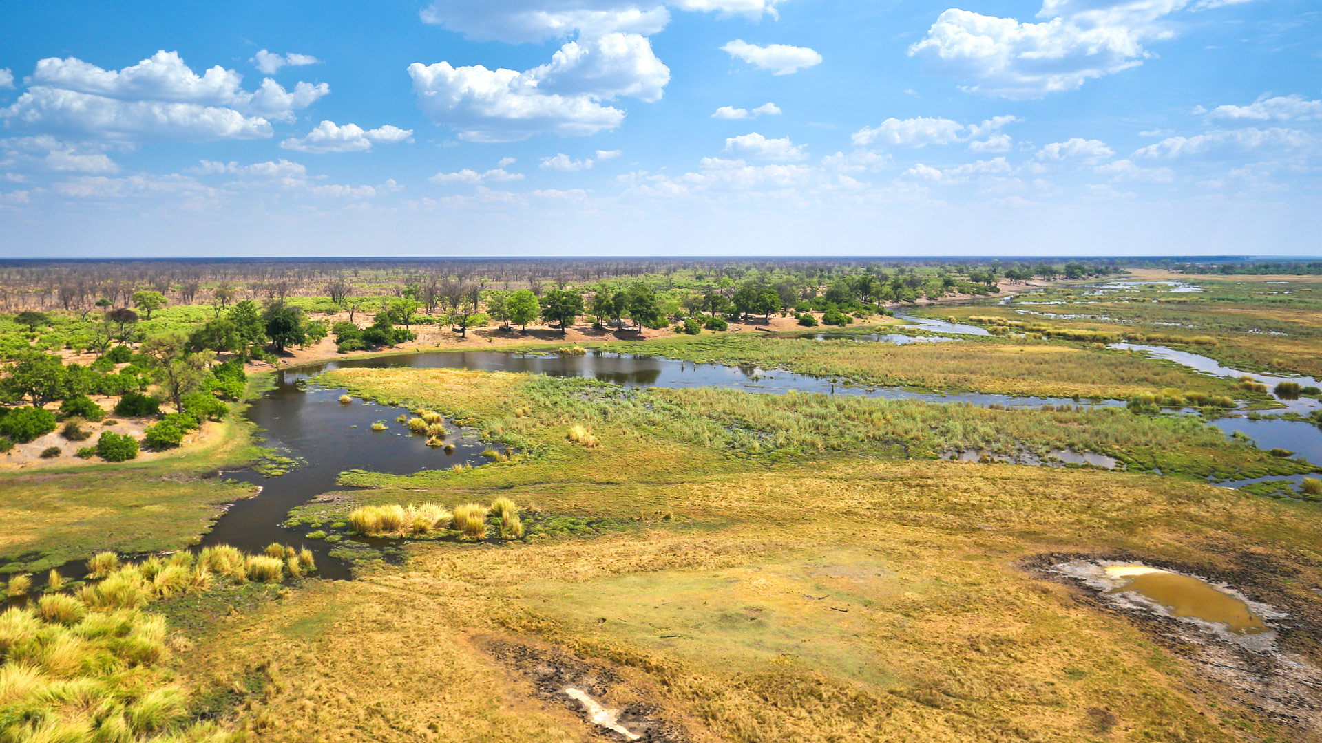 Safari in the Linyanti Waterfront