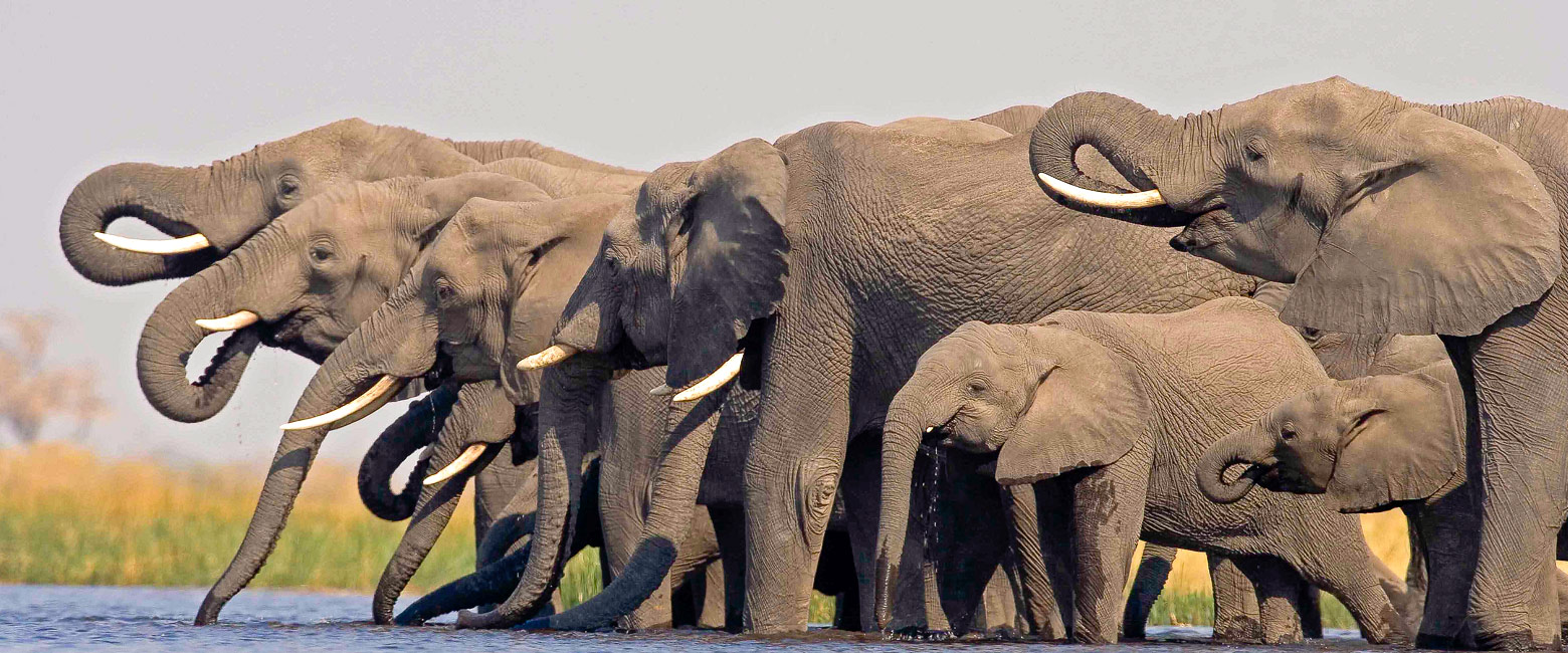 is an absolutely superb but relatively little-known savanna safari area