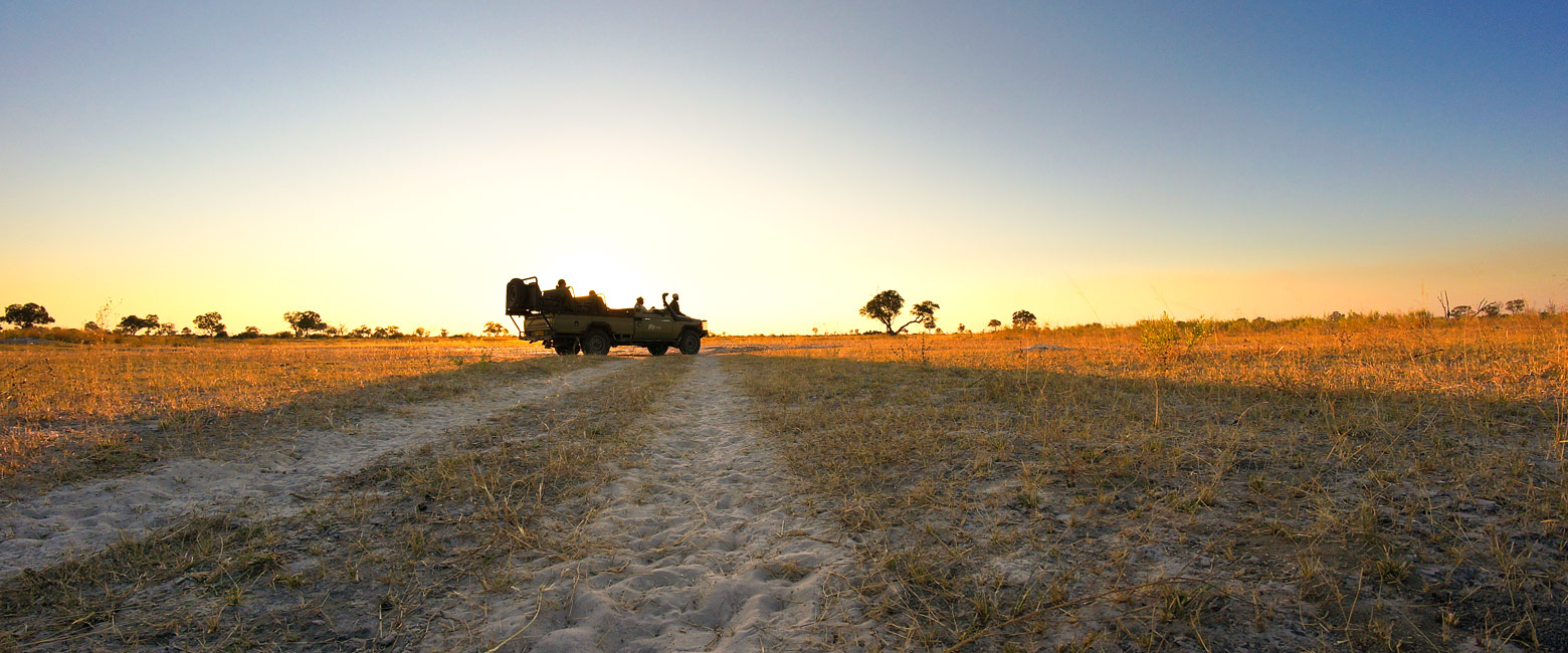 let us know your thoughts about Botswana and we will help you create the perfect safari