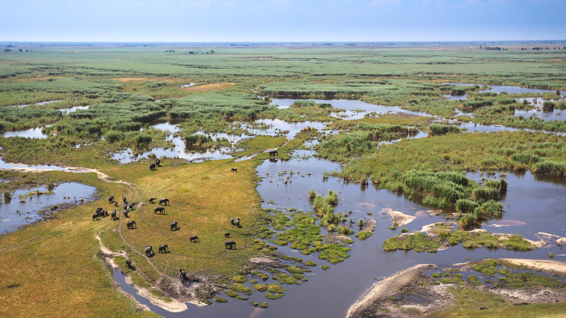Linyanti Wetlands