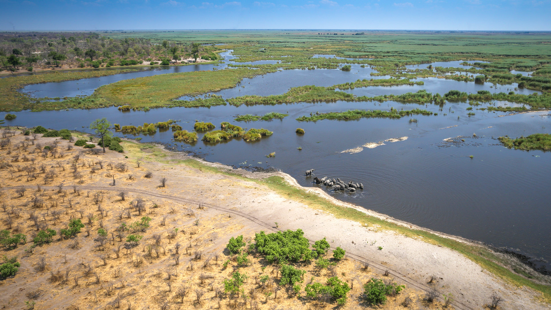 Travel to Chobe Enclave
