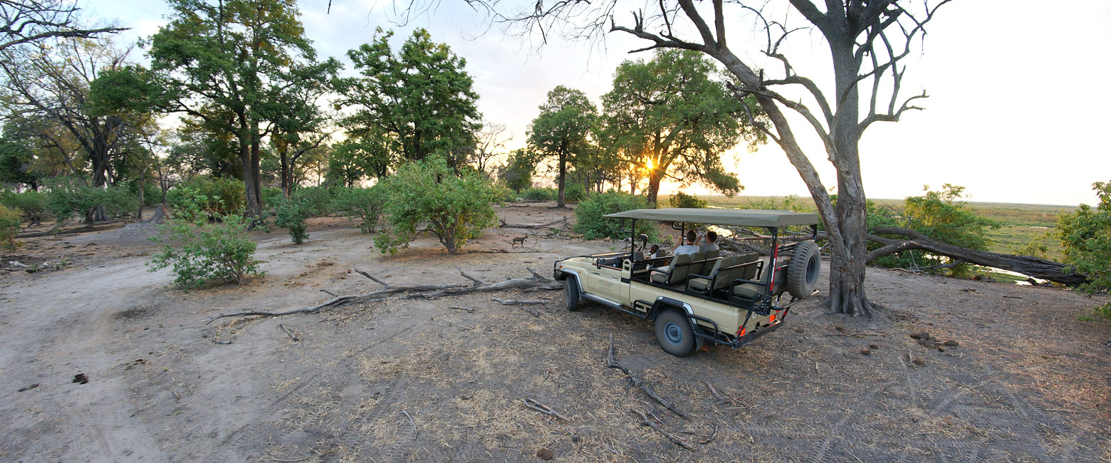 let us know your thoughts about Botswana and we will help you create the perfect safari