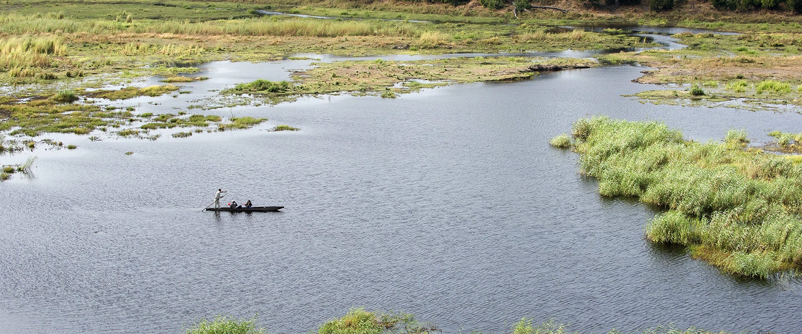 let us know your thoughts about Botswana and we will help you create the perfect safari