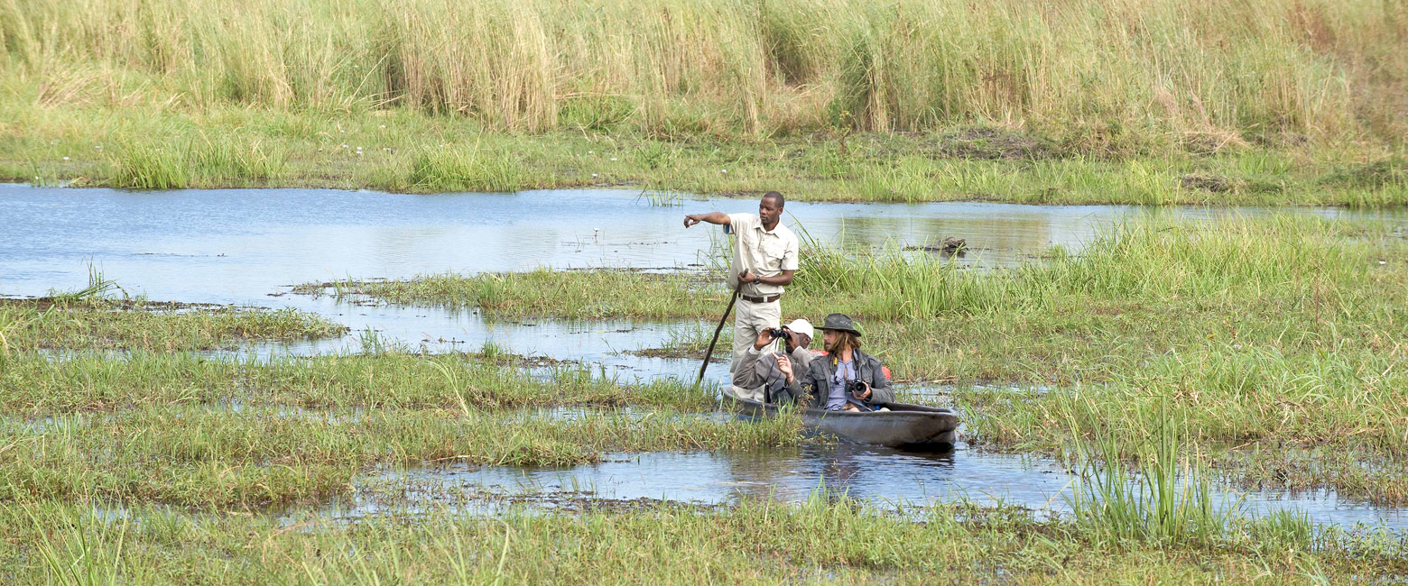 let us know your thoughts about Botswana and we will help you create the perfect safari