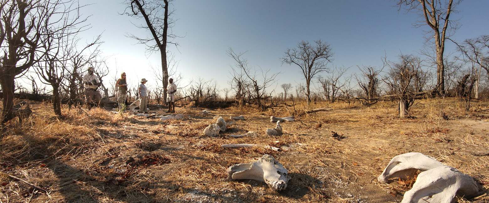 is a authentic and well-priced little property in the remote Chobe Enclave area of Botswana