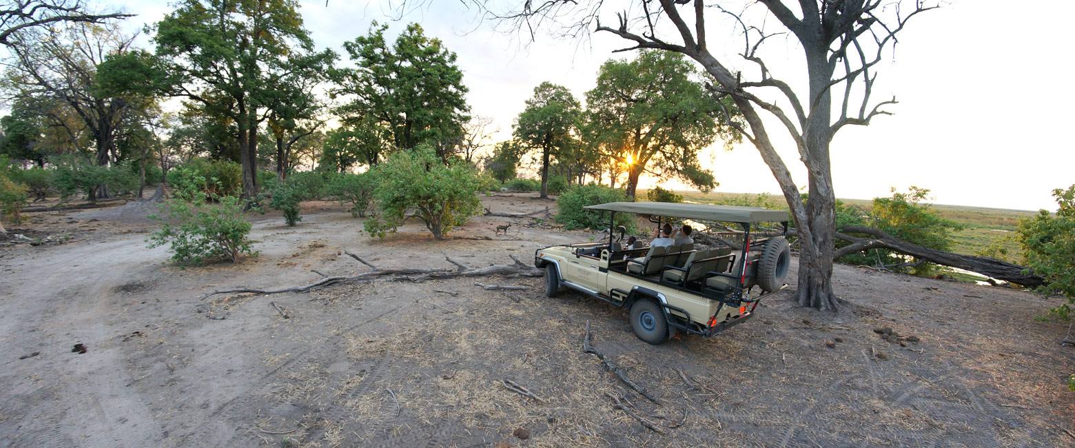 let us know your thoughts about Botswana and we will make sure to deliver the perfect safari