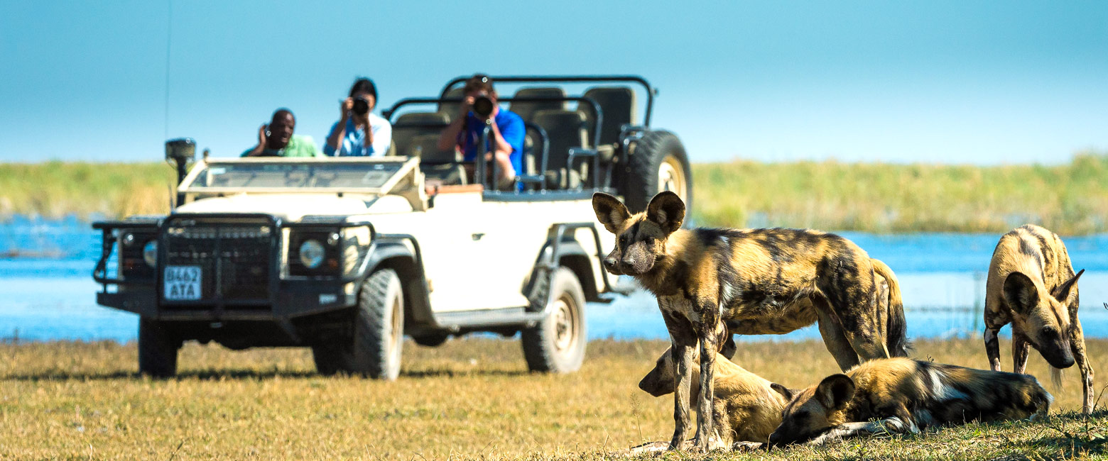 is an utterly pristine wilderness area in the north of Botswana