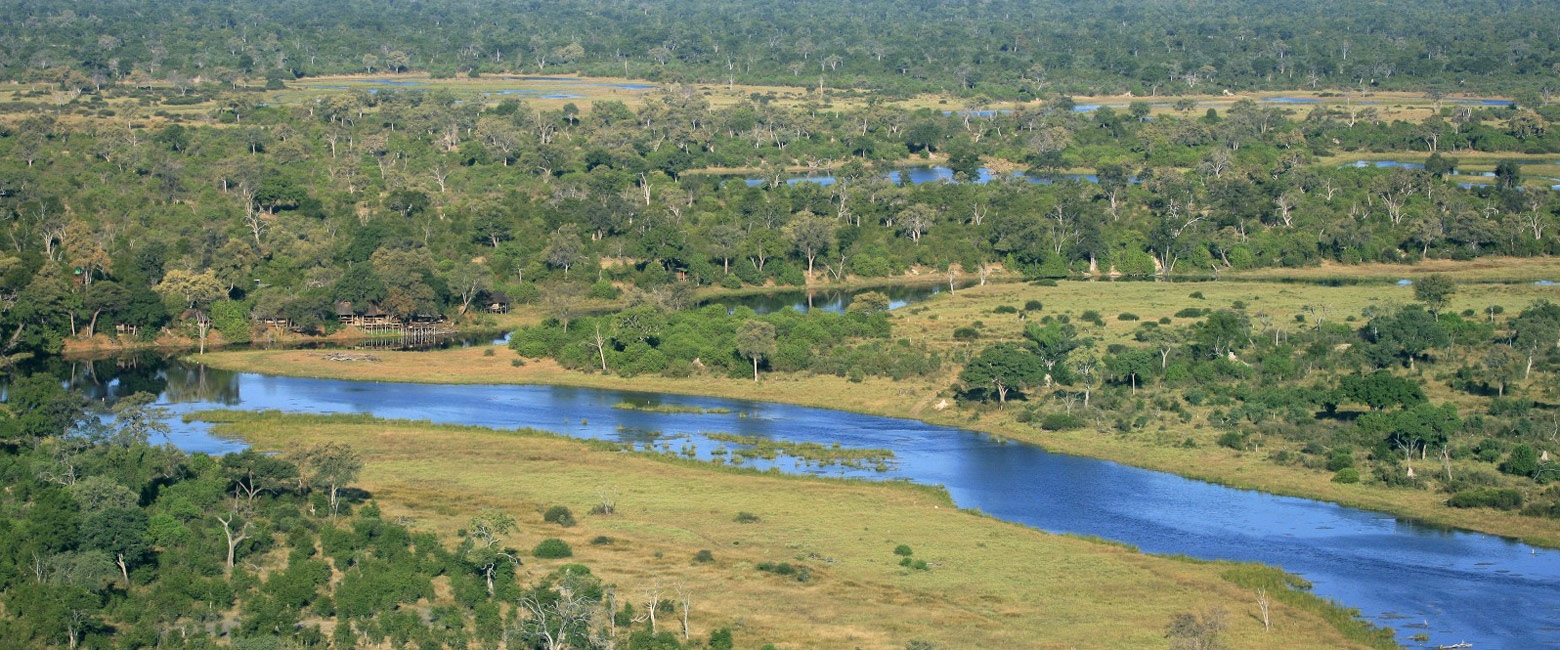 let us know your thoughts about Botswana and we will help you create the perfect safari
