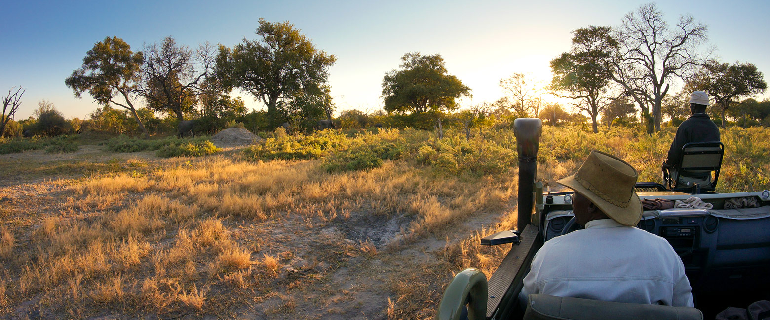 let us know your thoughts about Botswana and we will help you create the perfect safari