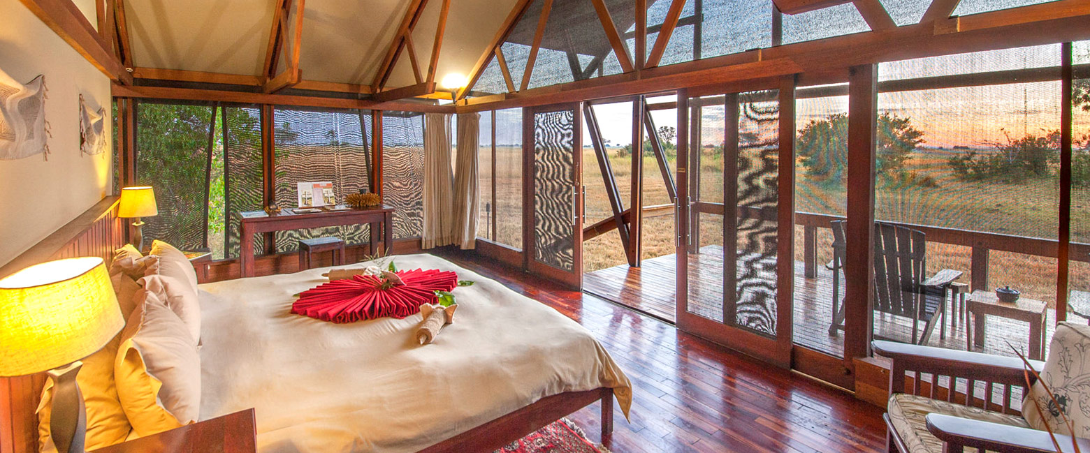 is arguably the best camp in Africa for intense predator action