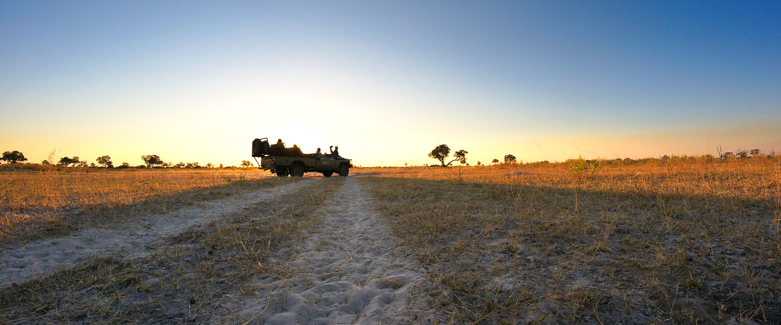 let us know your thoughts about Botswana and we will help you create the perfect safari