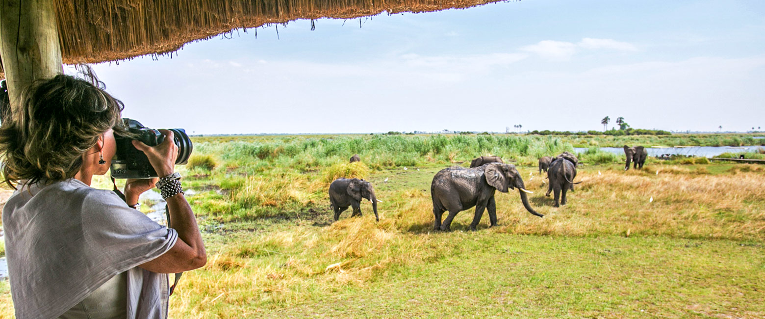 is a genuinely high-end property in the prime Linyanti Selinda area