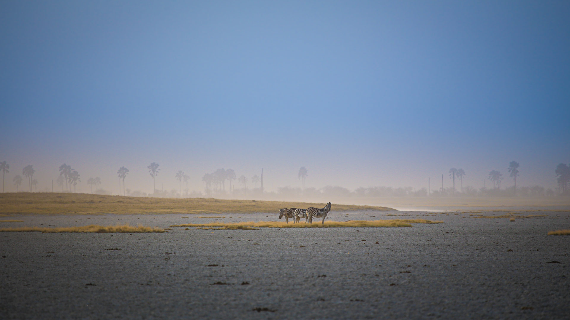 Travel to Makgadikgadi