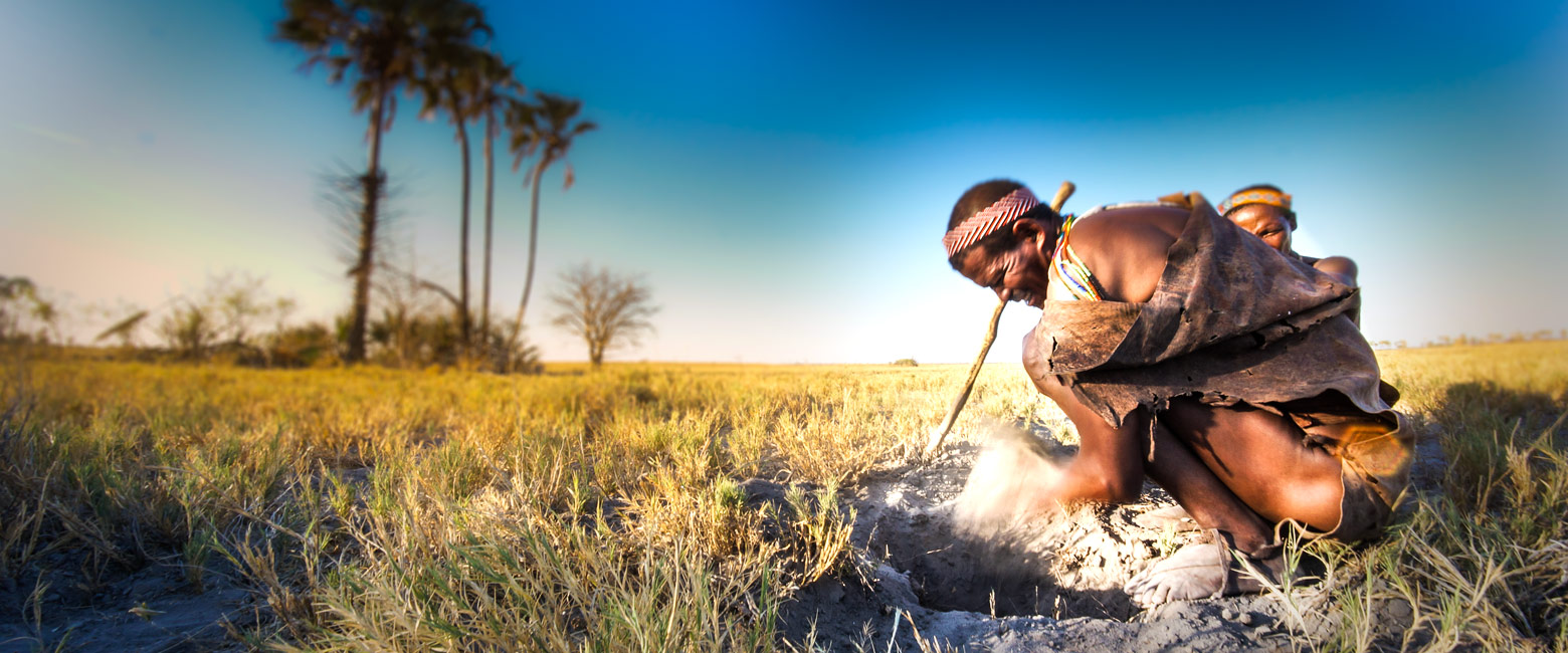 let us know your thoughts about Botswana and we will help you build the perfect trip