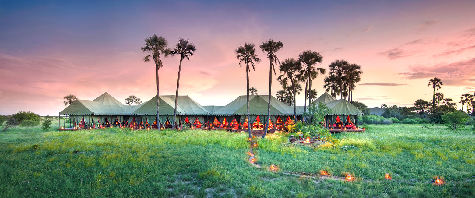 let us know your thoughts about Botswana and we will help you create the perfect safari