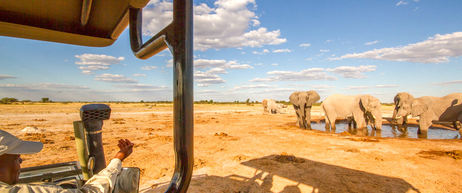 let us know your thoughts about Botswana and we will help you create the perfect safari