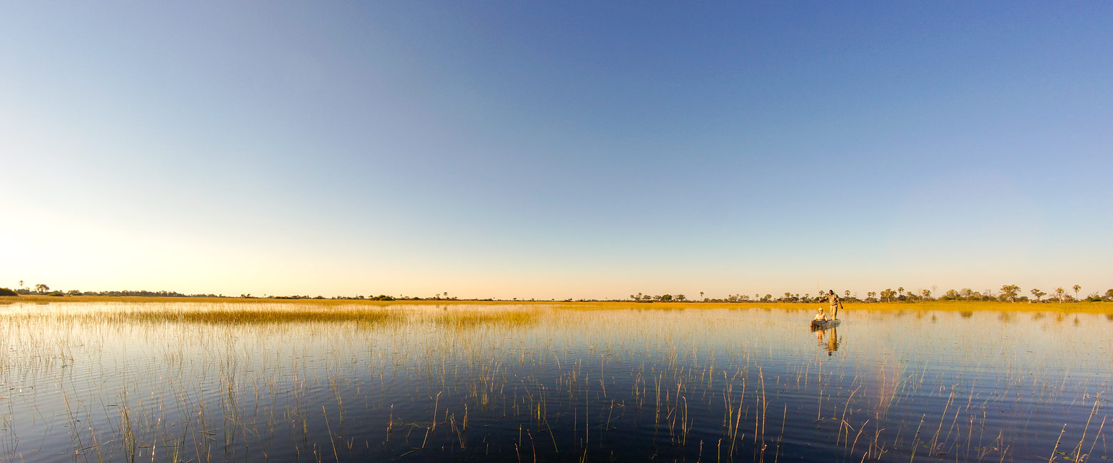 let us know your thoughts about Botswana and we will help you create the perfect safari