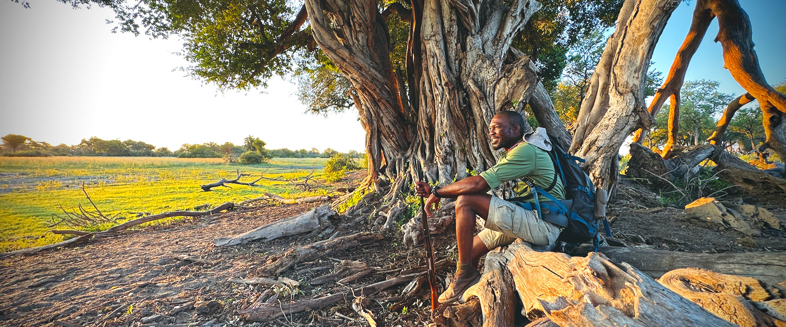 let us know your thoughts about Botswana and we will help you create the perfect safari 