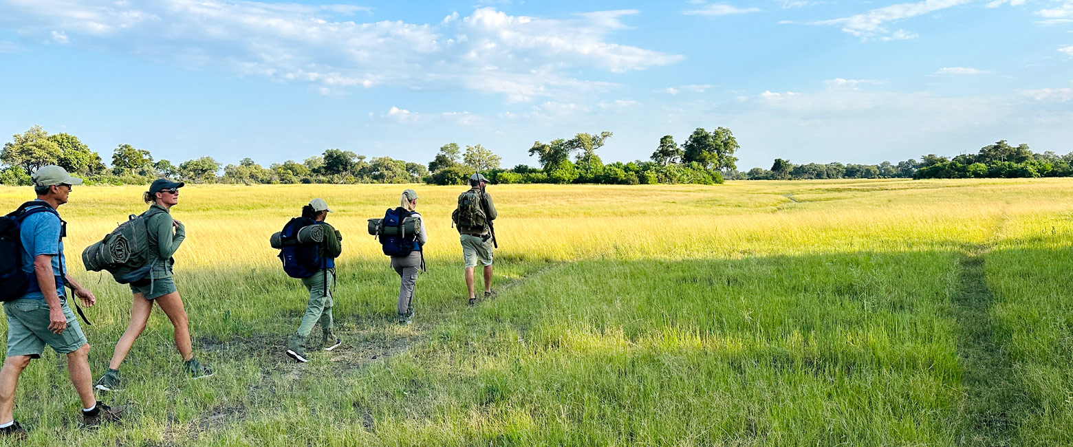 is a superbly authentic experience in the fabulous Okavango Delta 