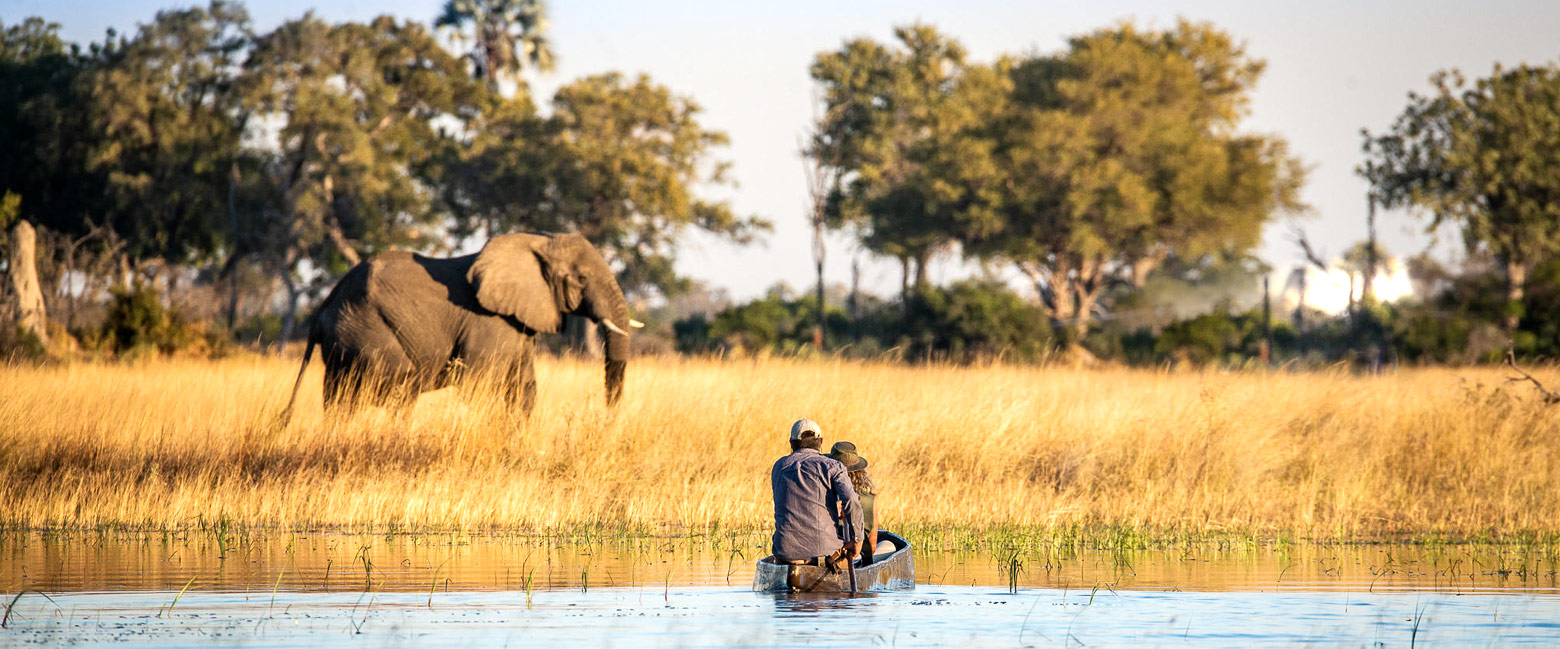 let us know your thoughts about Botswana and we will make sure to deliver the perfect safari 